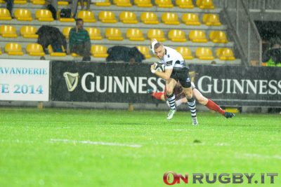 zebre rugby pro 14