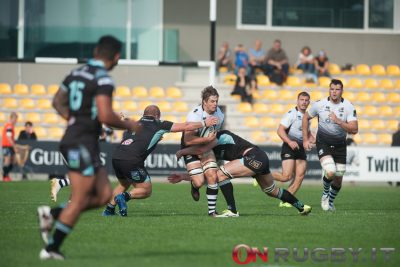 zebre rugby pro 14