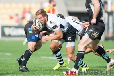 zebre rugby bisegni