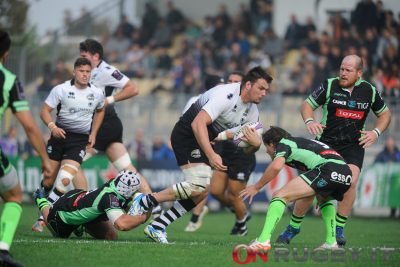zebre rugby pau