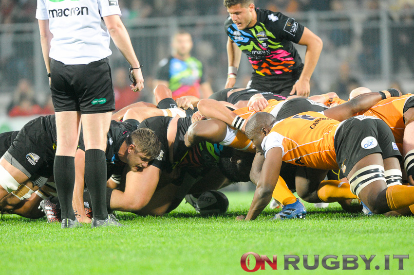 zebre rugby pro14
