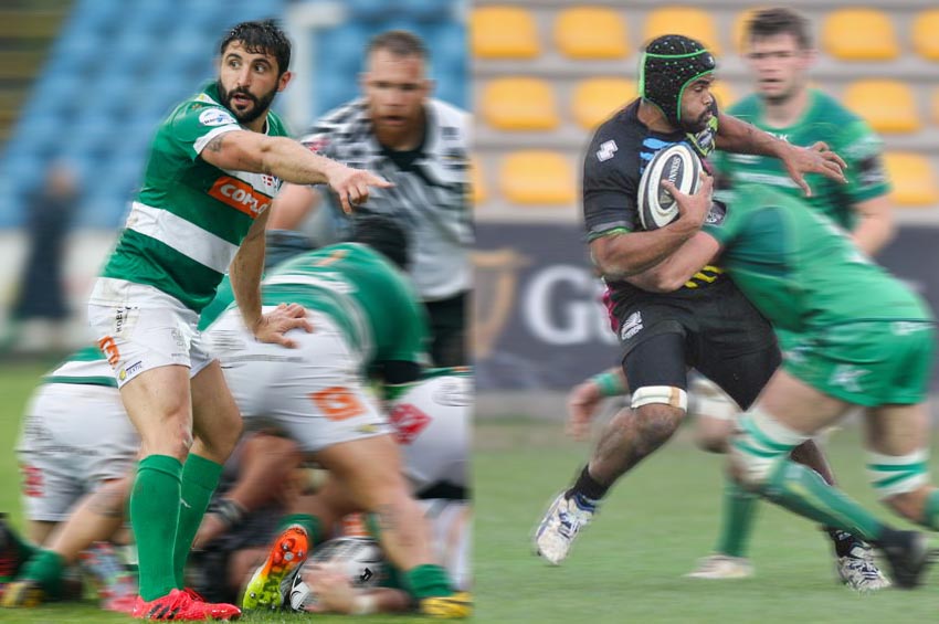 treviso zebre
