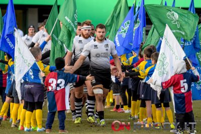 zebre Tommaso castello