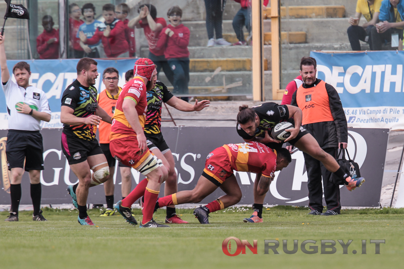 zebre rugby dragons