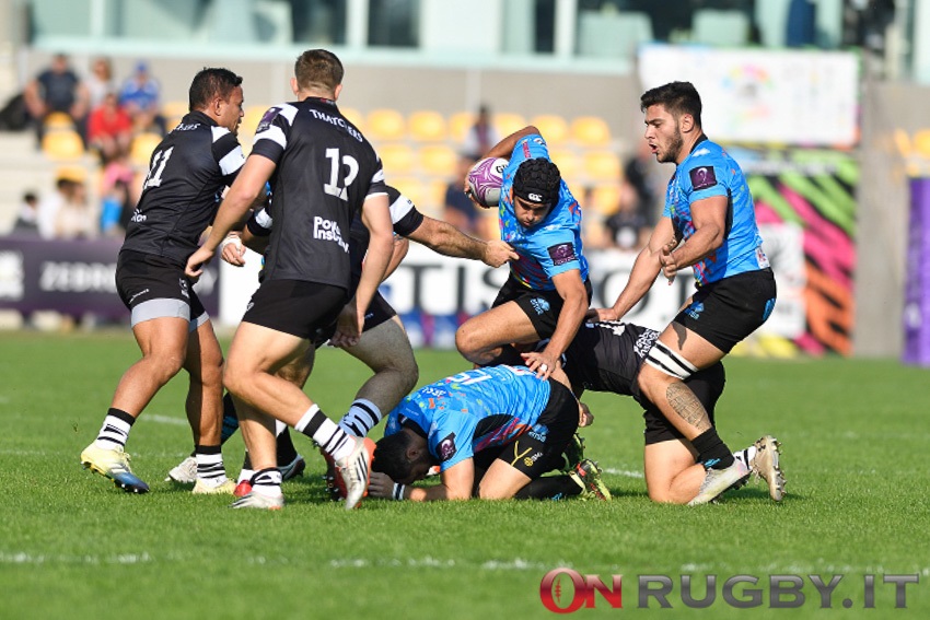 zebre rugby