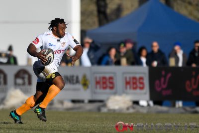 pro14 rugby cheetahs