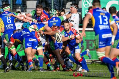 benetton rugby duvenage