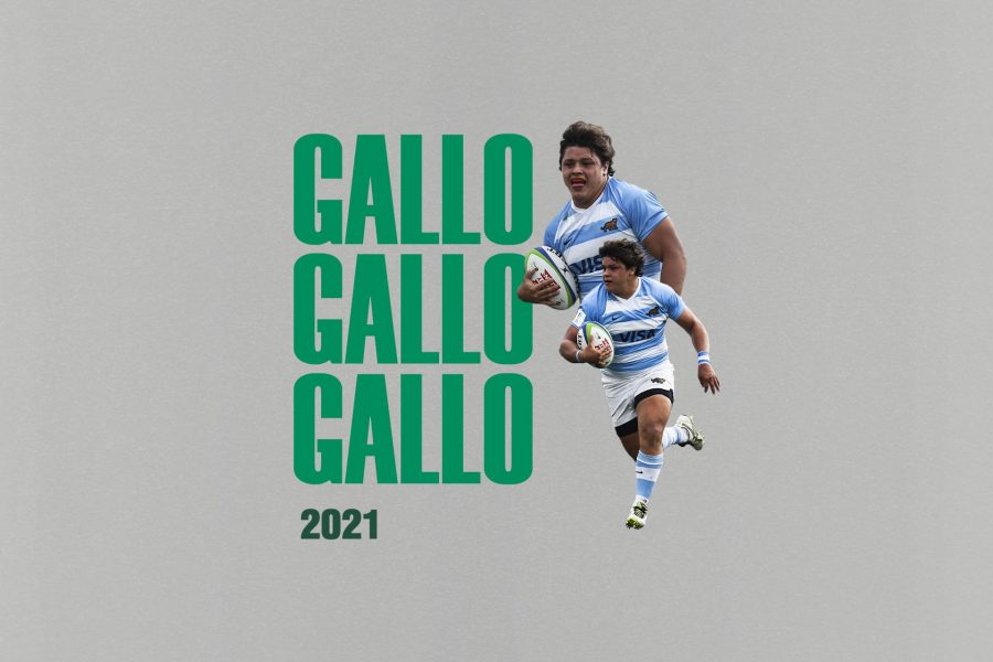 Benetton Rugby Gallo