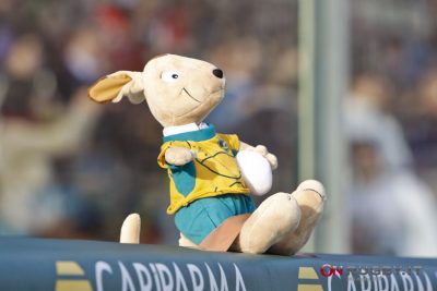 Rugby Championship: super Australia, Sudafrica steso ancora una volta ph. Sebastiano Pessina