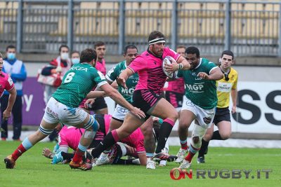 Challenge Cup Zebre Bayonne