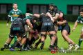 Pro14: dal 19 febbraio inizia la seconda parte della stagione del torneo celtico (Ph. Ettore Griffoni)