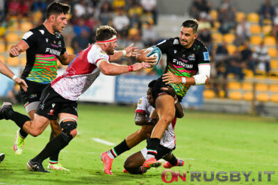 Bellini Zebre URC Lions