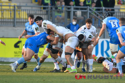 Zebre: mercato in uscita