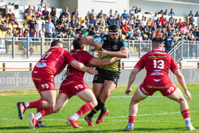 Dove e quando si vede Scarlets-Zebre in diretta streaming. PH Stefano Delfrate