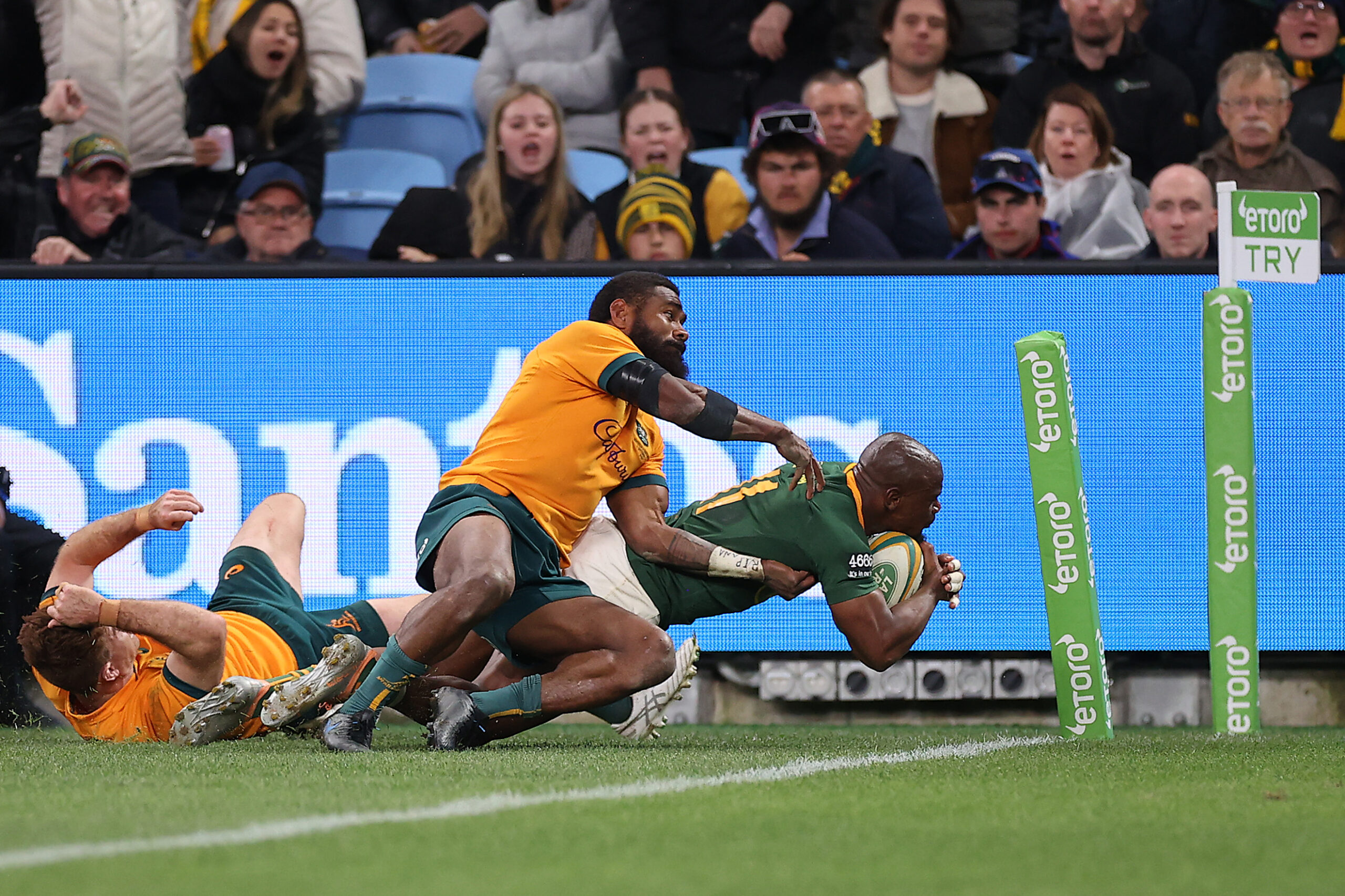 Australia demolita fisicamente: il Sudafrica vince 24-8 (ph. Springboks)