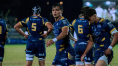 URC: Zebre coraggiose e sprecone. Arriva il bonus, ma a Dublino passa Leinster item-thumbnail