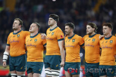 Australia, un nuovo allenatore ex All Blacks: pronto per il Nations Championship 2026