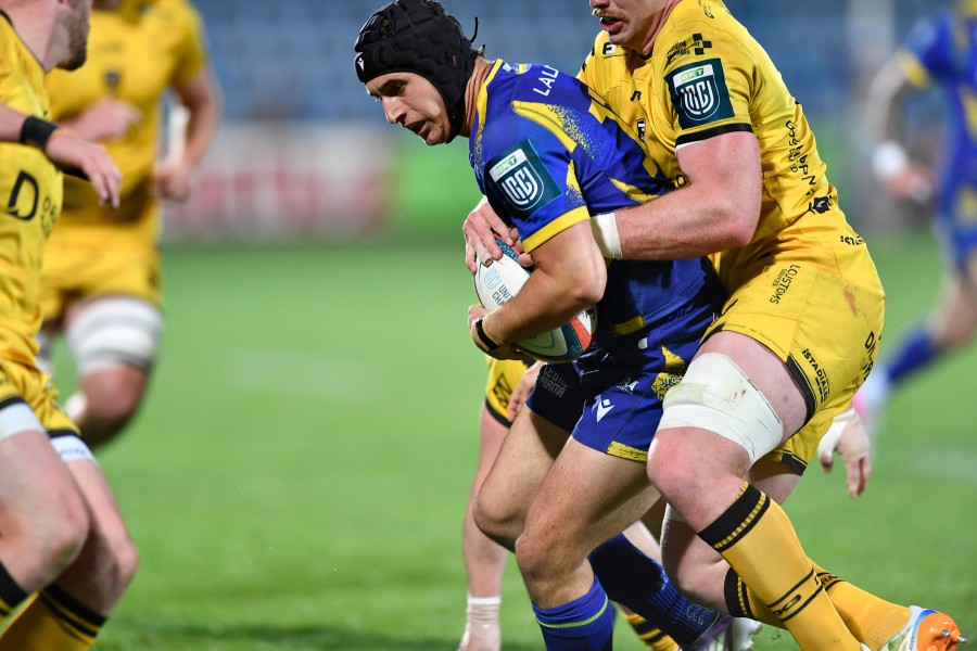 Zebre Gesi (Ph. Luca Sighinolfi)