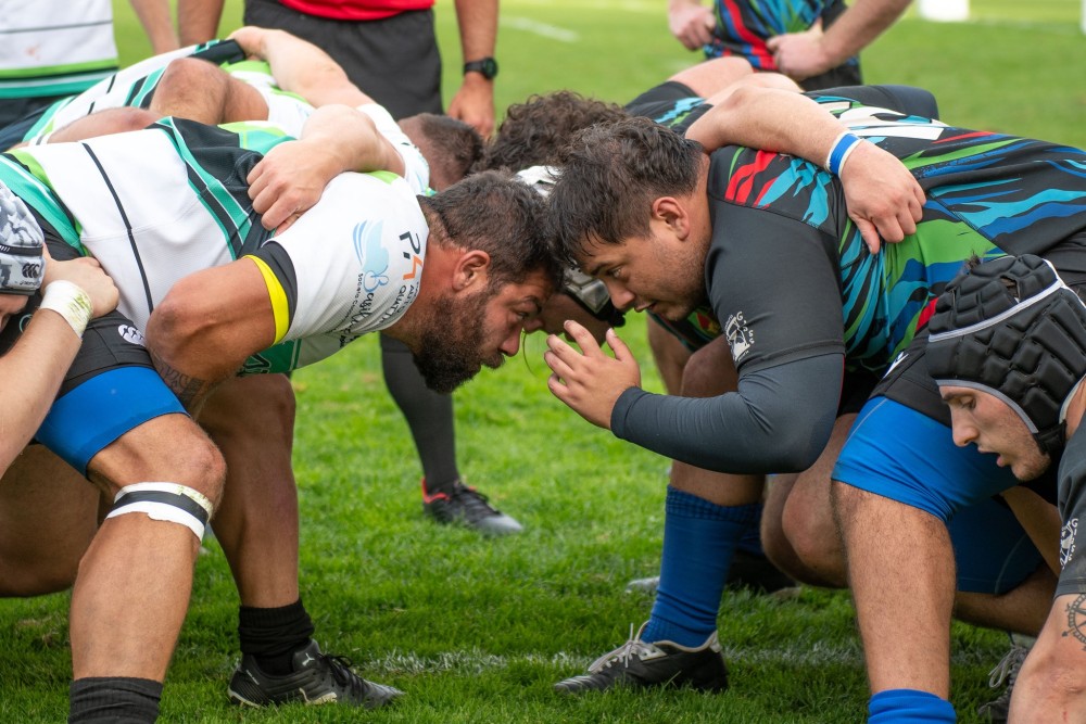 Serie B: ultimo atto prima dei playoff. Le squadre già promosse e la formula degli spareggi (ph. Lions Alto Lazio)